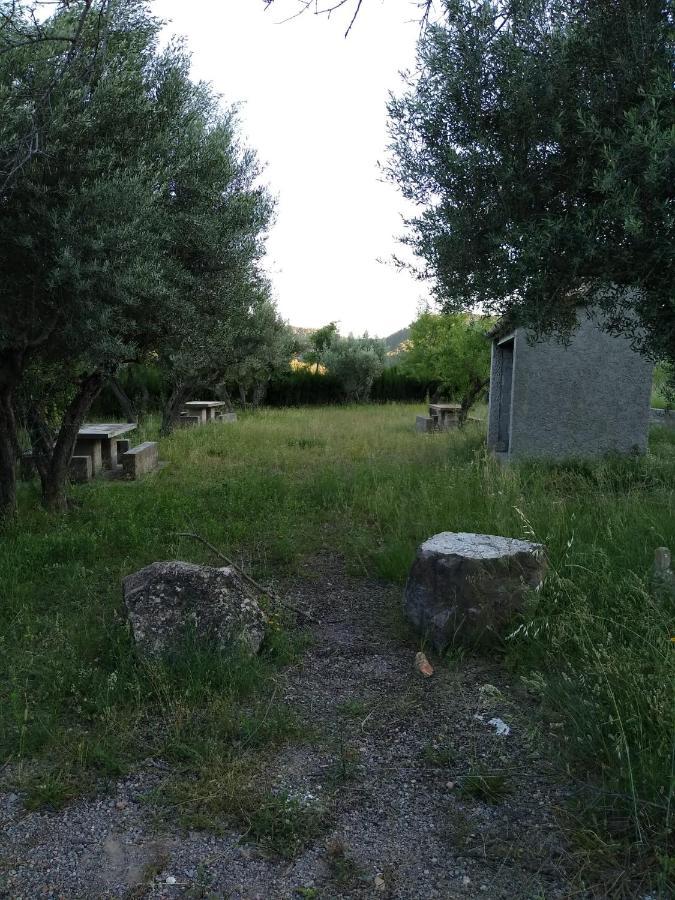 منزل الضيف Pavies  في Casa De Amparo Y Jose Manuel المظهر الخارجي الصورة