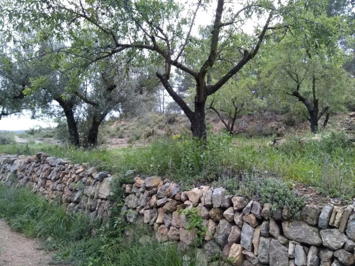 منزل الضيف Pavies  في Casa De Amparo Y Jose Manuel المظهر الخارجي الصورة