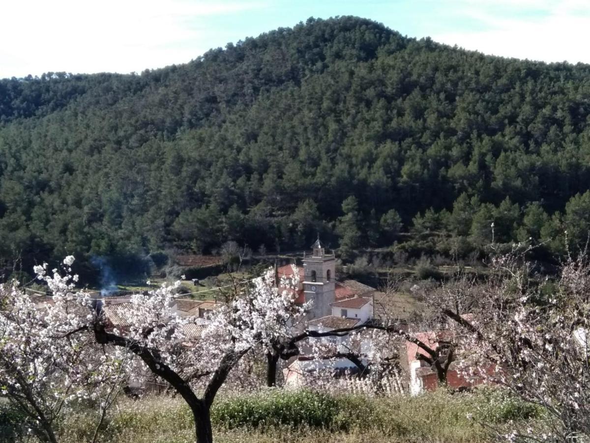 منزل الضيف Pavies  في Casa De Amparo Y Jose Manuel المظهر الخارجي الصورة