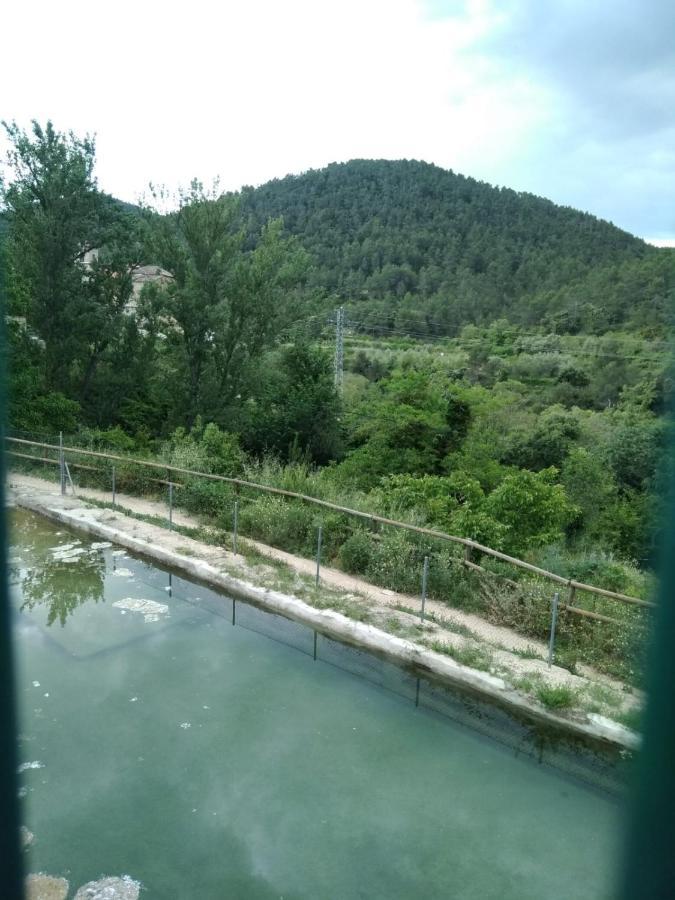 منزل الضيف Pavies  في Casa De Amparo Y Jose Manuel المظهر الخارجي الصورة