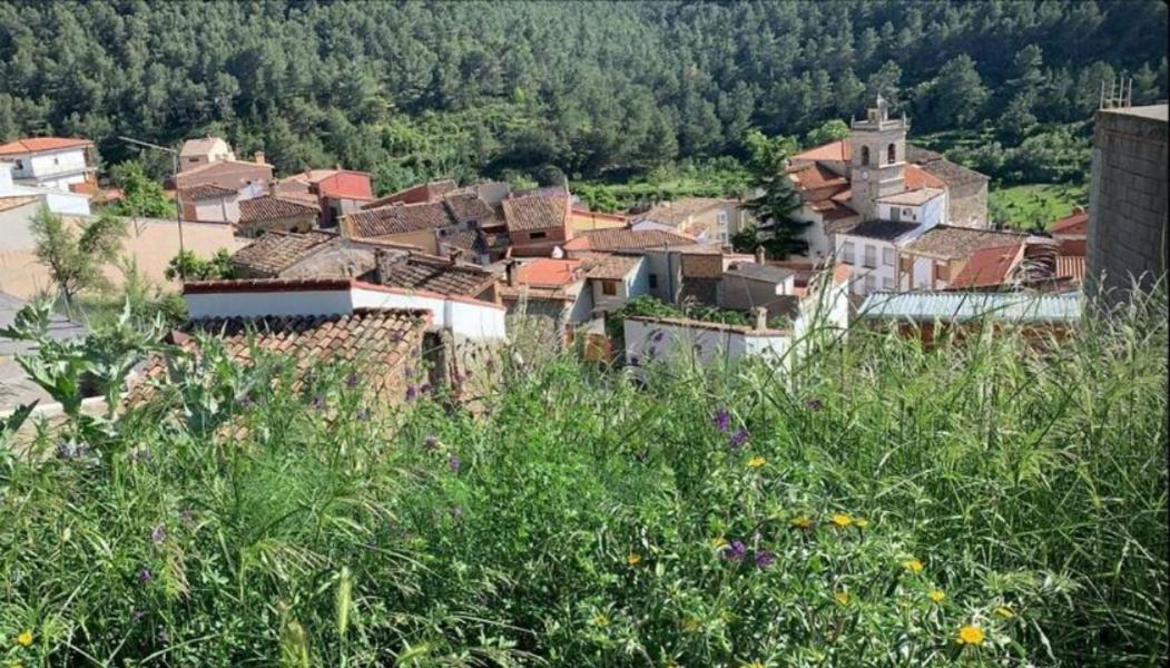 منزل الضيف Pavies  في Casa De Amparo Y Jose Manuel المظهر الخارجي الصورة